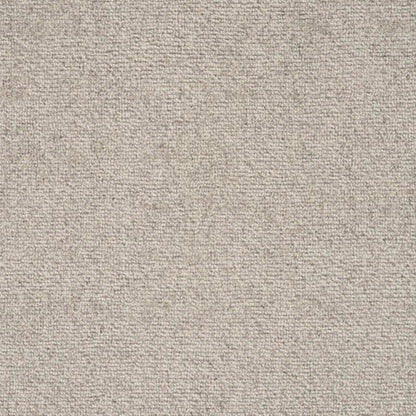 Broadview in Silver Carpet