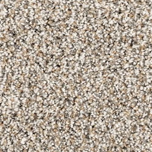 Luxuriant Space in Rococo Carpet