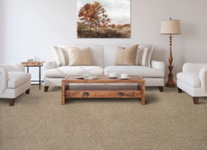 Color Fusion II in Rum Cream Carpet