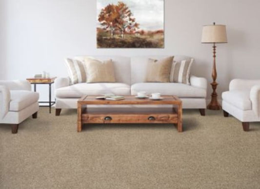 Color Fusion II in Rum Cream Carpet