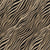 Sahara