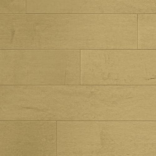 SolidClassic - Hard Maple 5"