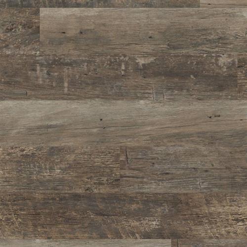 Van Gogh Rigid Core