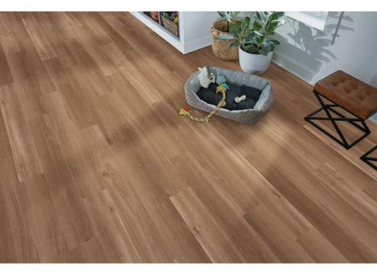 Arbor Terrace in Eastmont Luxury Vinyl