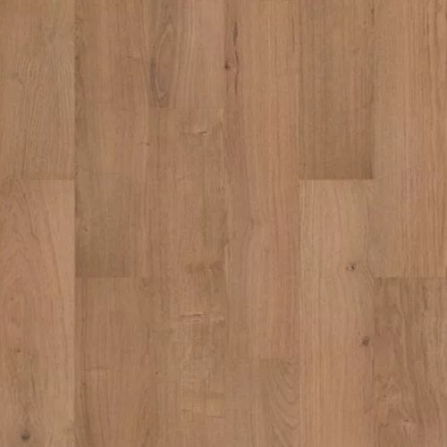 Ashland Crest in Phoenix Luxury Vinyl