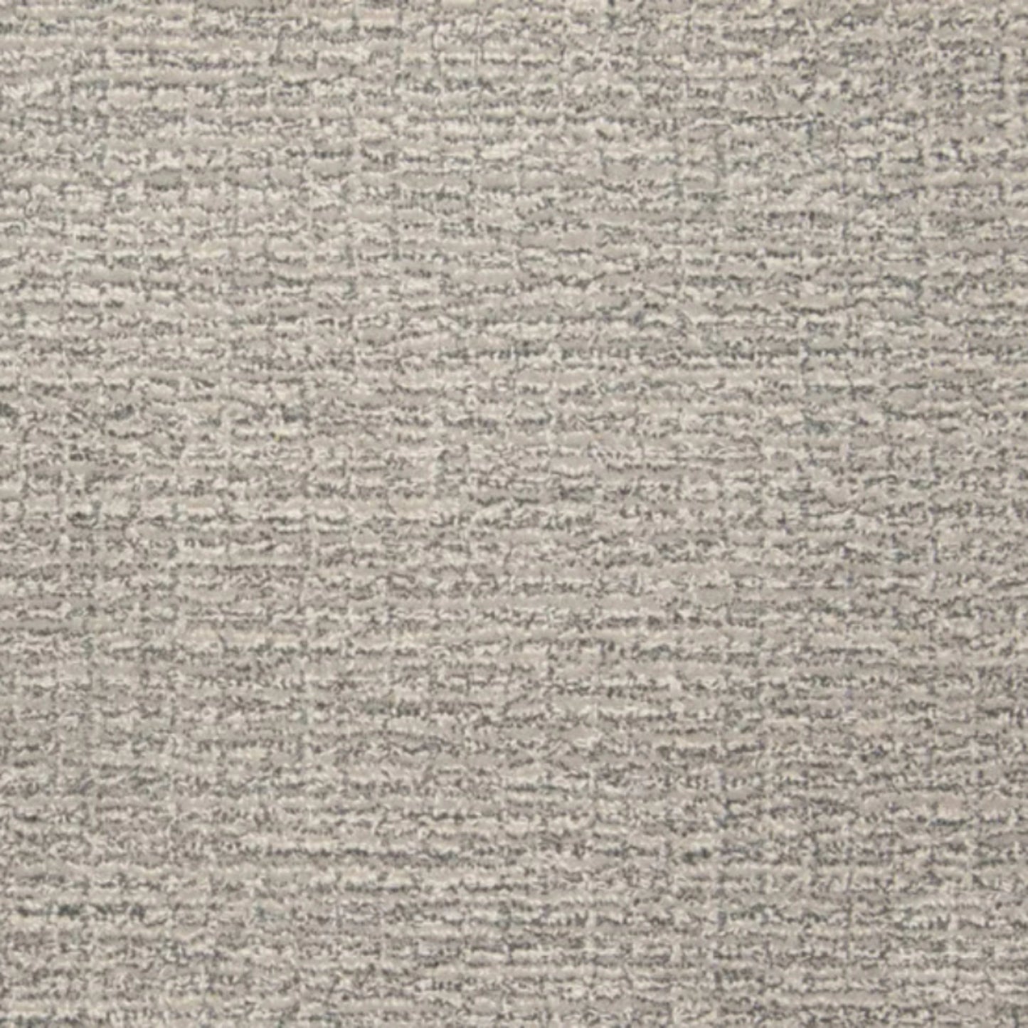 Sera in Shadow Carpet