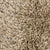 Reflexions in Sugar And Spice Carpet