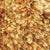 Series 1000 in Autumn Burst Carpet