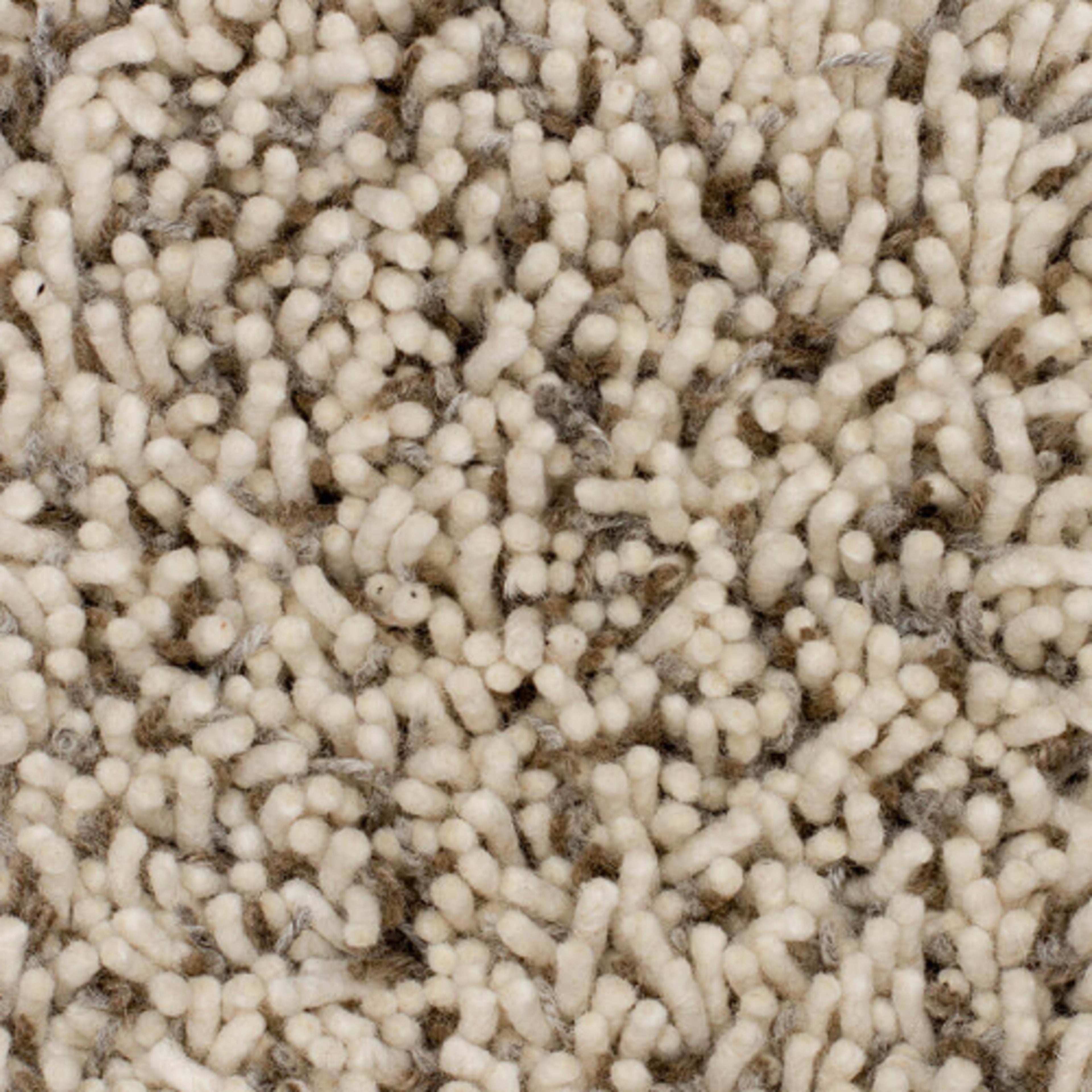 Windy Ridge in Marblehead Carpet