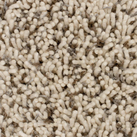 Windy Ridge in Marblehead Carpet