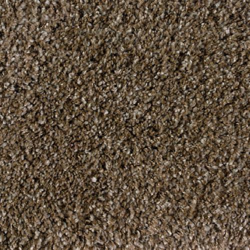 Shaggy Plush in Metallic Beige Carpet