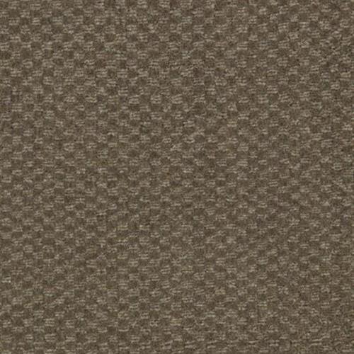 Snowmass in Brown Carpet
