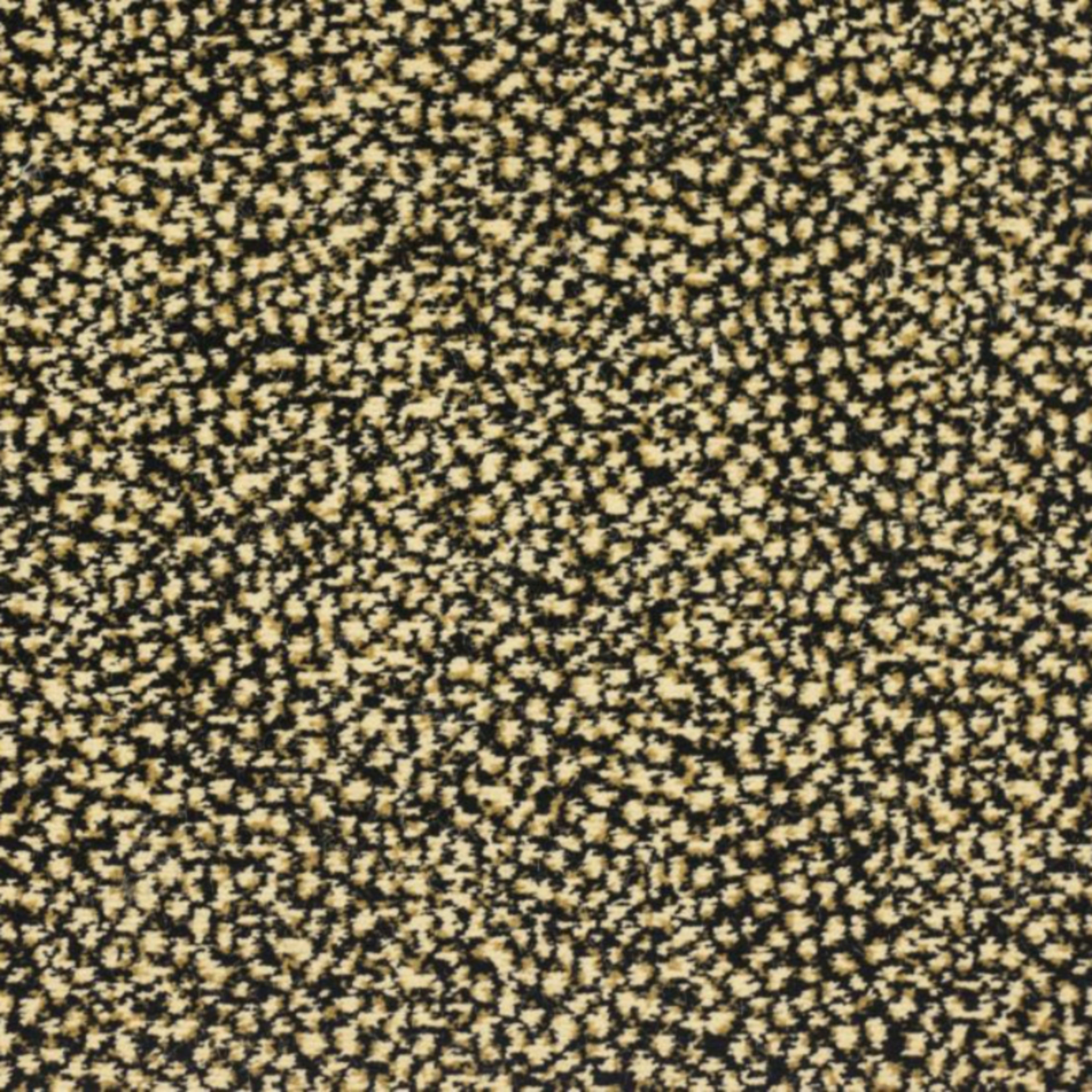 Sophisticated Skins in Fedora Carpet