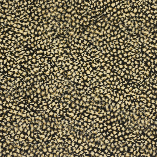 Sophisticated Skins in Fedora Carpet