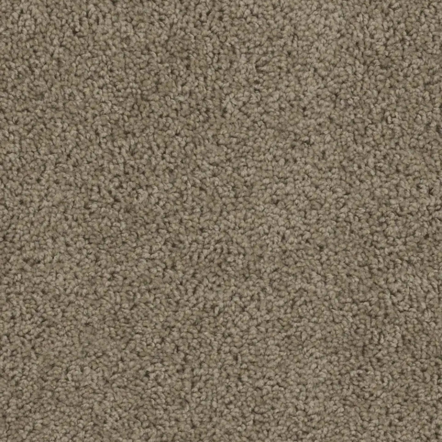 SP250 in  honey Beige Carpet