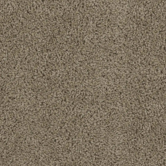 SP250 in  honey Beige Carpet