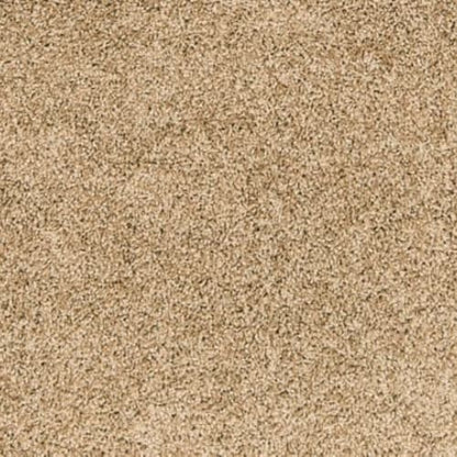 Paw Pathway
