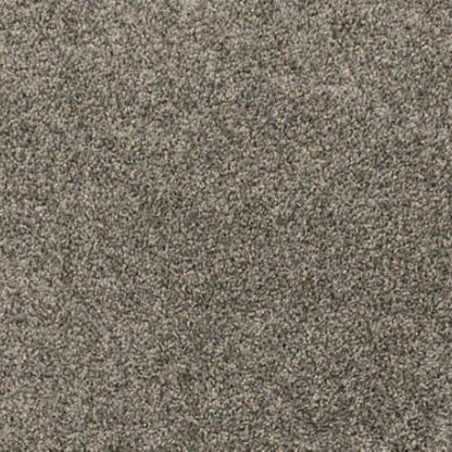 Paw Pathway in Ash Carpet