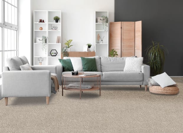 Haymaker in Bird Bath Carpet