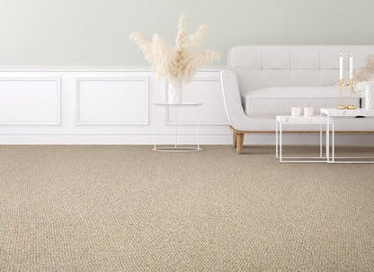 Colorful Blend Ii in 702 Carpet