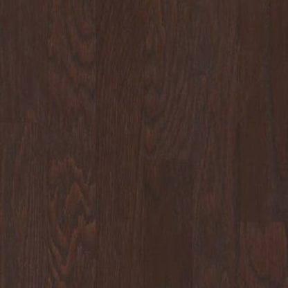 ALBRIGHT OAK 3.25 in Coffee Bean