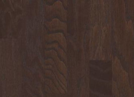 ALBRIGHT OAK 3.25 in Chocolate Hardwood