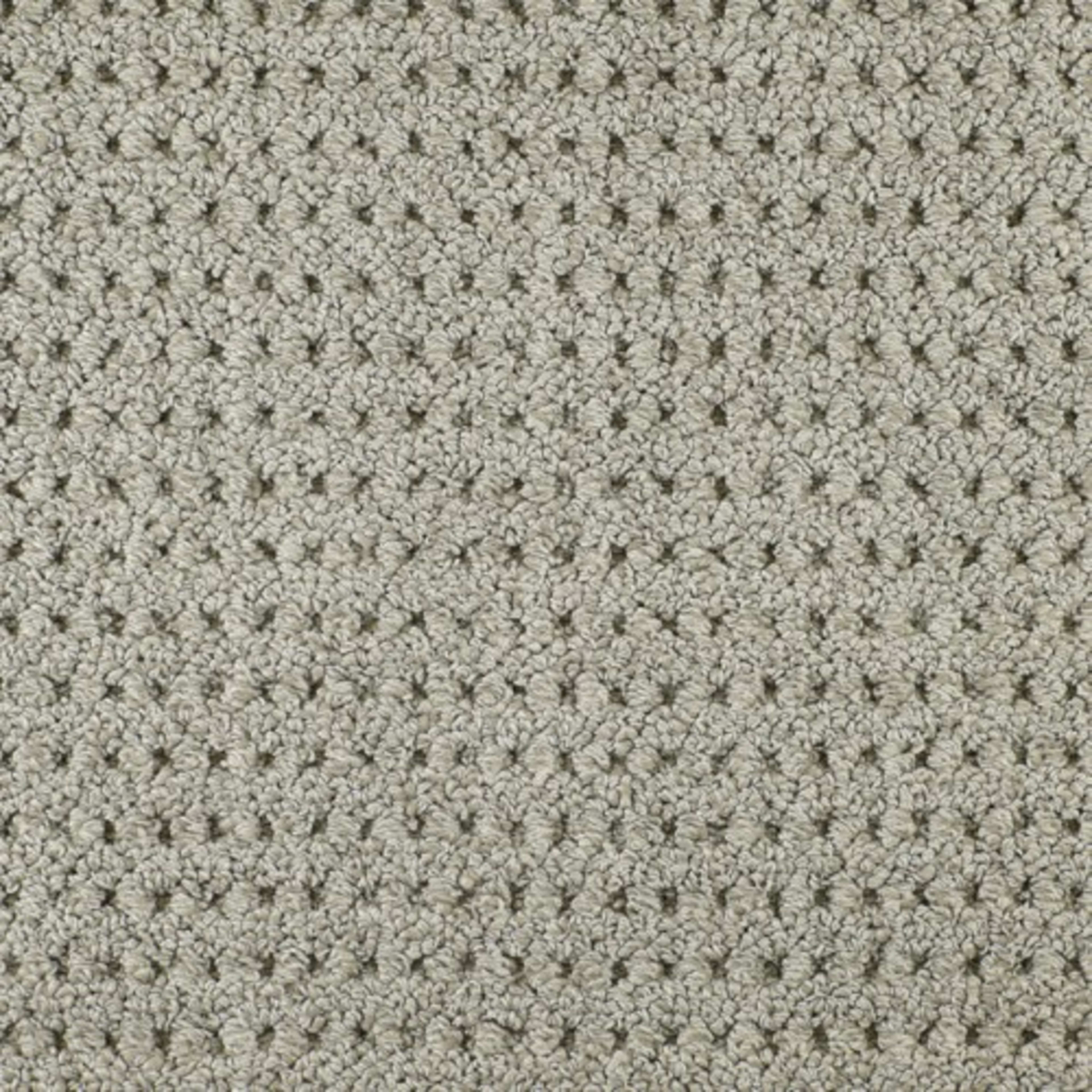 Savanna Weave in Bogota Carpet