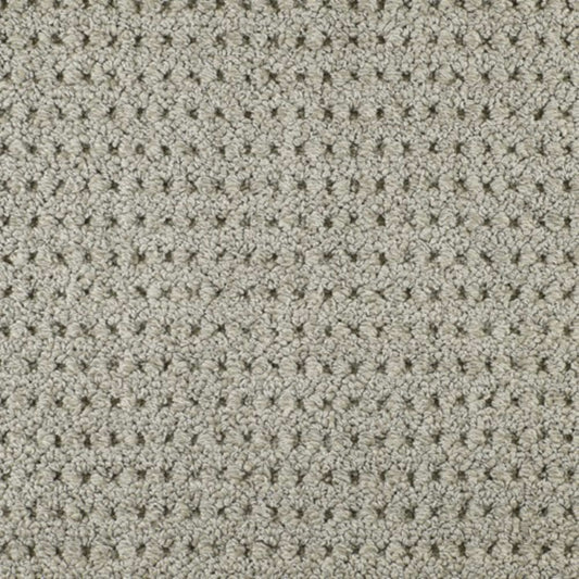 Savanna Weave in Bogota Carpet
