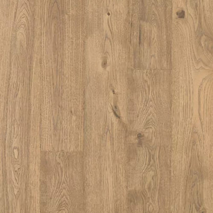 Elderwood in Sandbank Oak