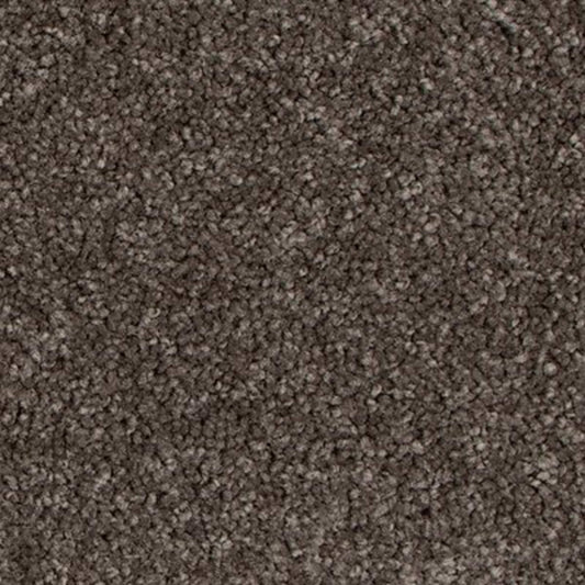 Tender Moment II in Sandstone Carpet
