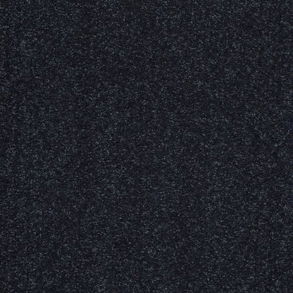 Sandy Hollow Classic Ii 12' in Deep Sea Carpet