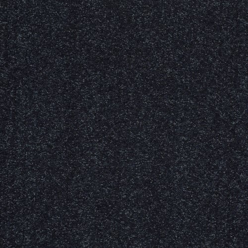 Sandy Hollow Classic Ii 12' in Deep Sea Carpet