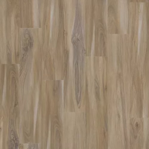 Explorer's Cove in Sandy Valley Luxury Vinyl