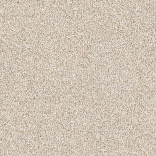 Santa Rosa in Starfish Carpet