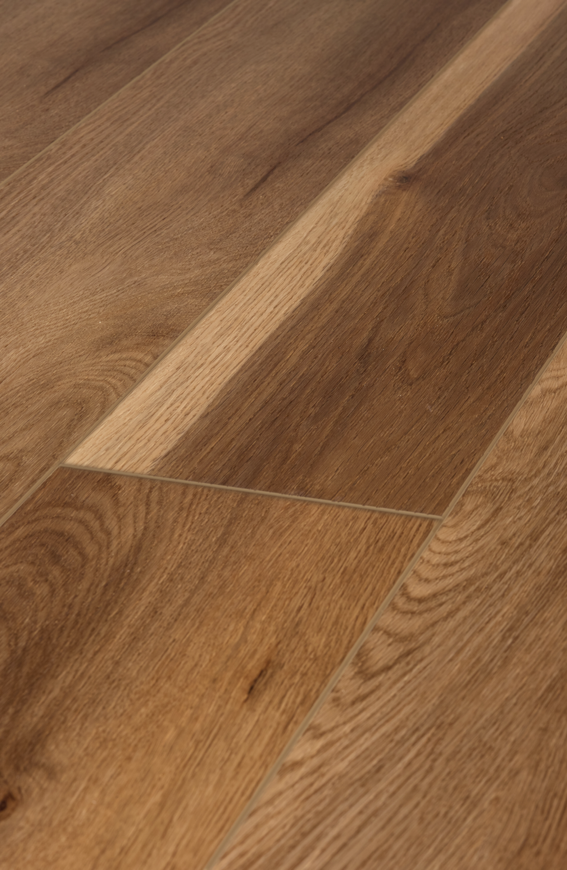 Sapwood Oak