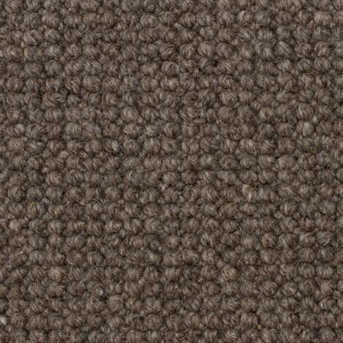 Ambassador in Scottish Gray Carpet