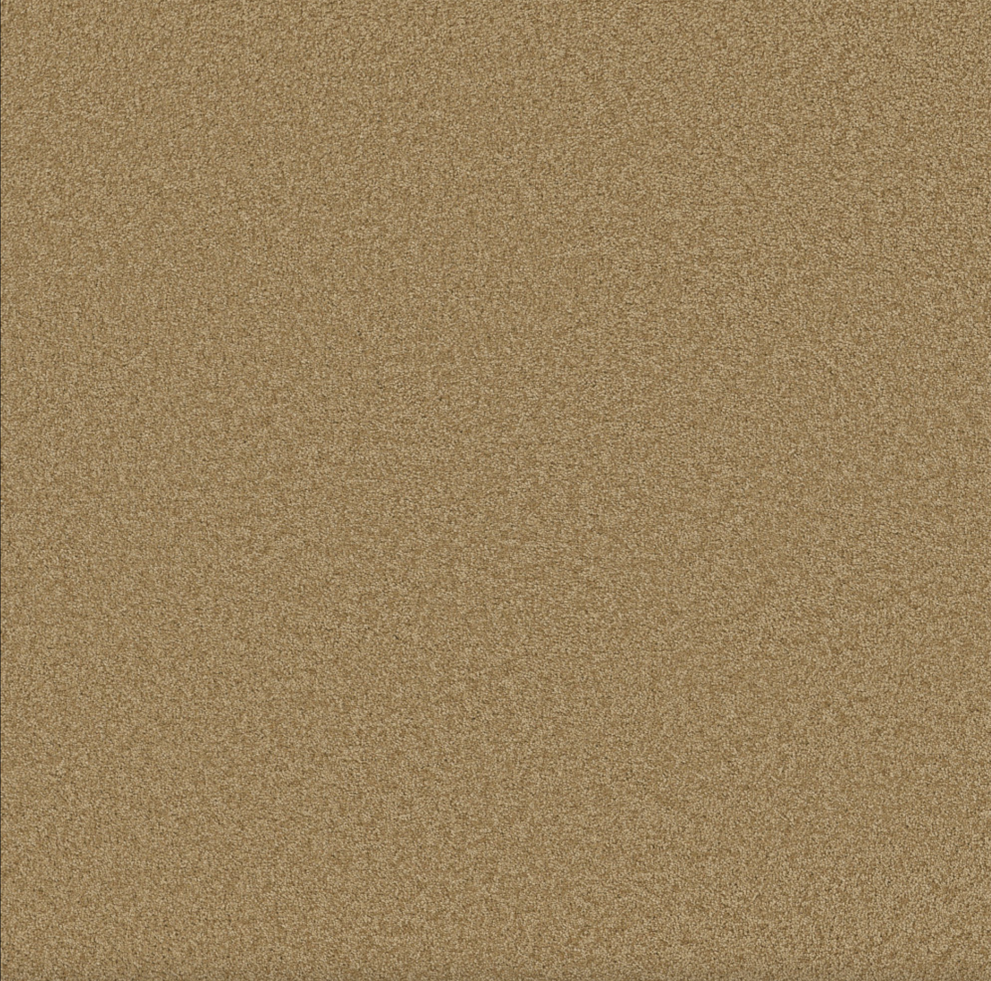 Luxury Bay III
