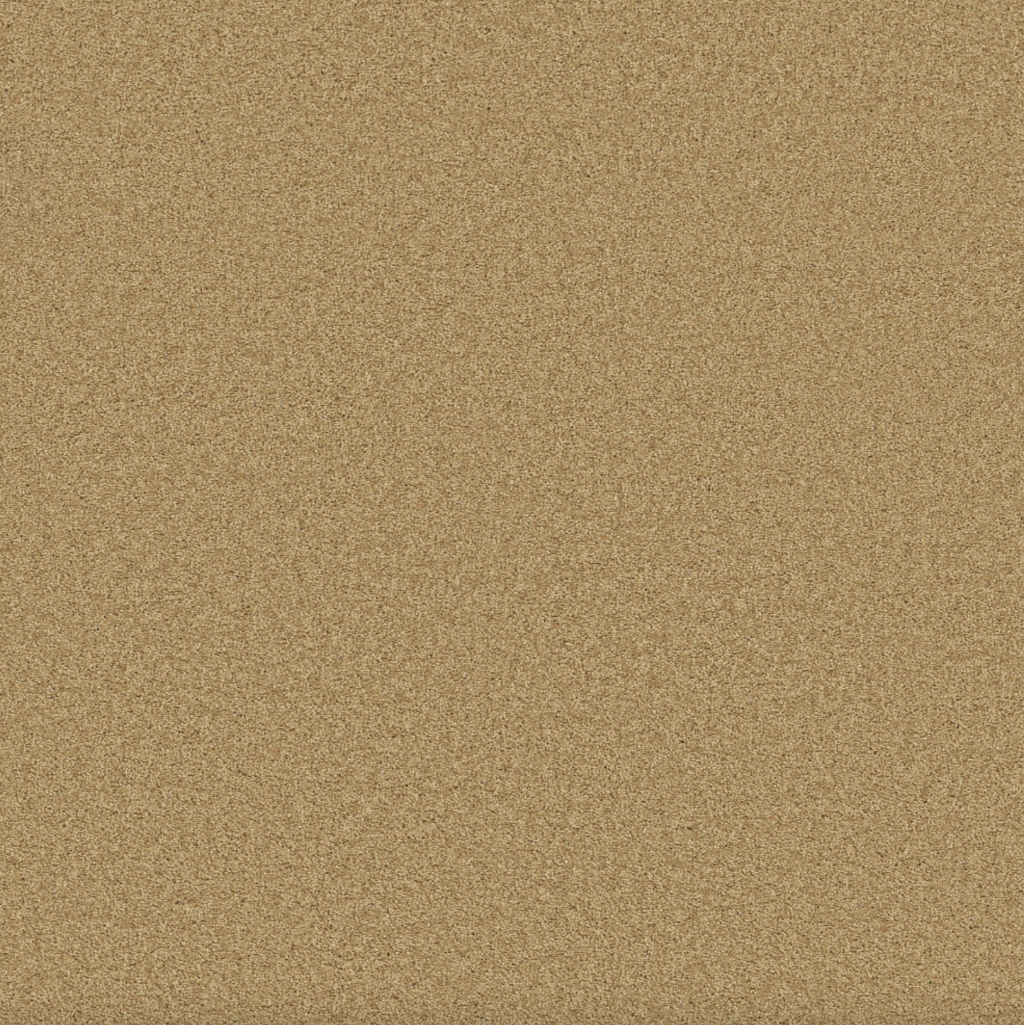 Luxury Bay III