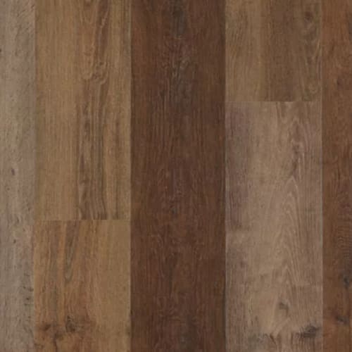 Explorer's Cove in Shadow Woodlands Luxury Vinyl