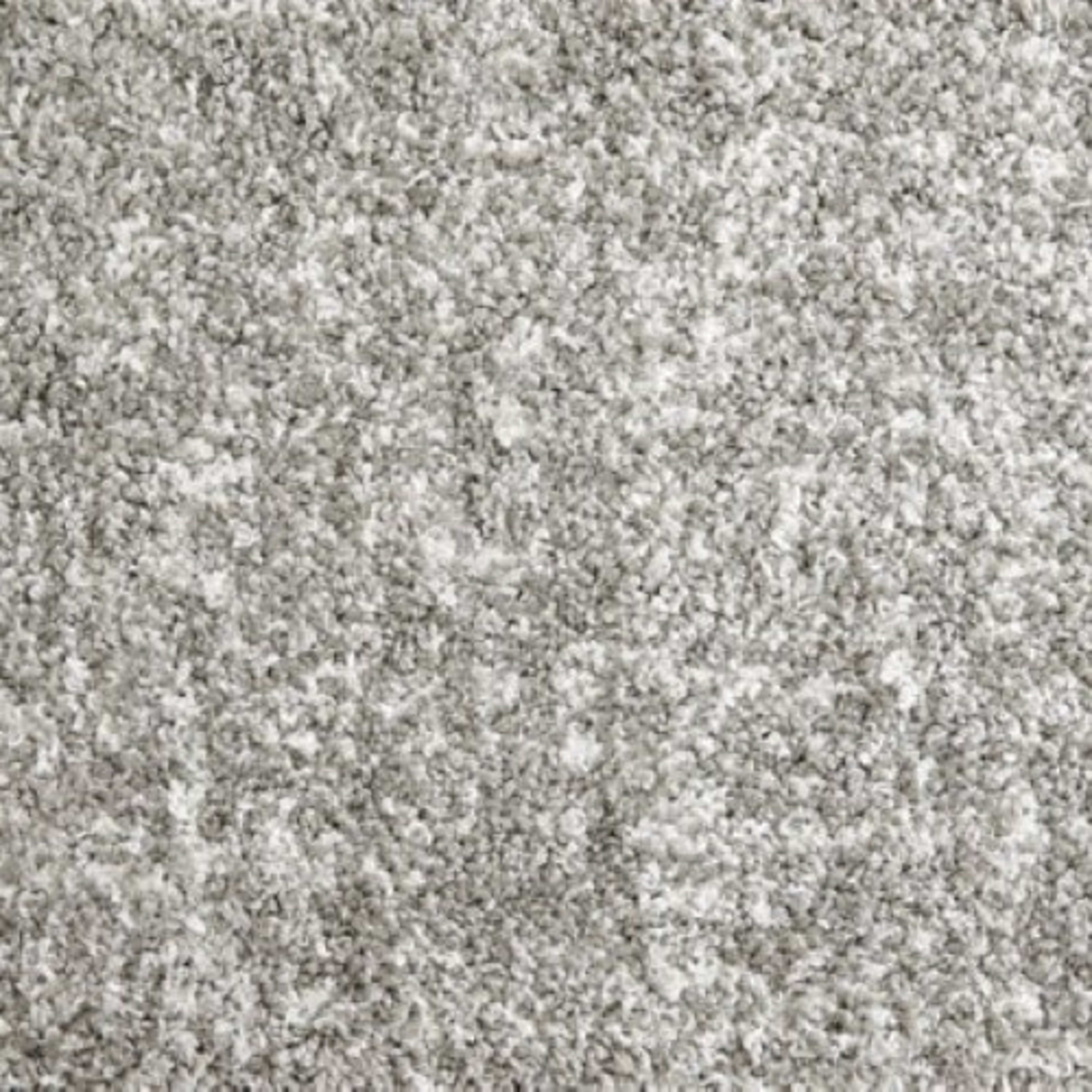 Shaggy Superstar in Silver Carpet