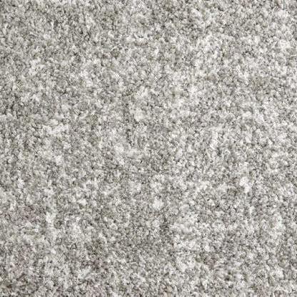 Shaggy Superstar in Silver Carpet