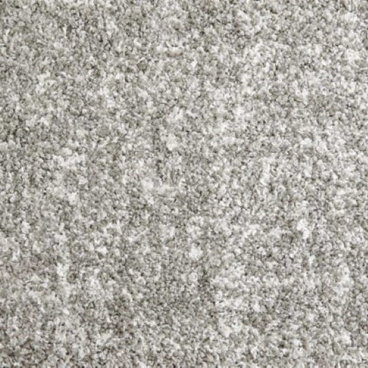 Shaggy Superstar in Silver Carpet