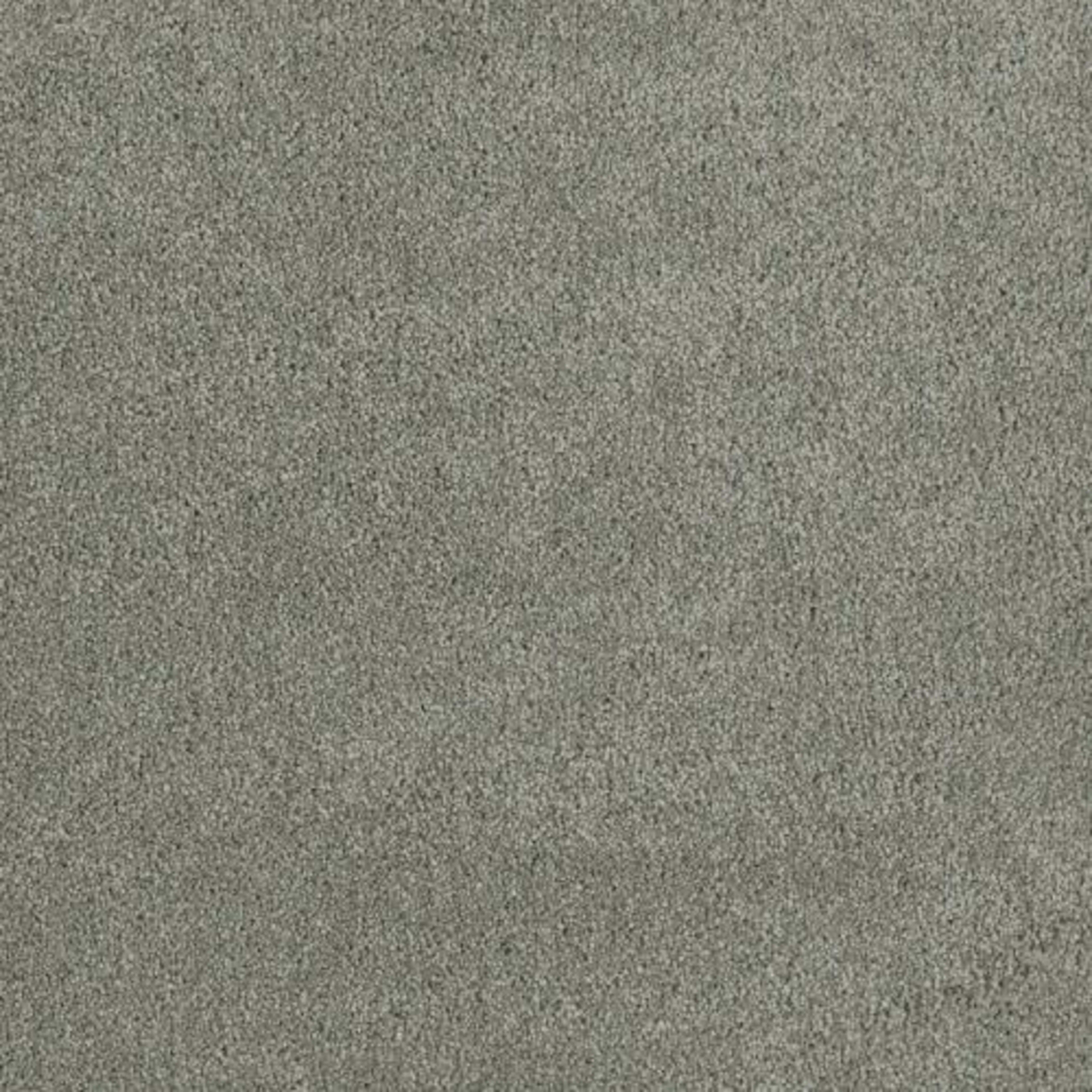 MALIBU I in Shamrock Carpet