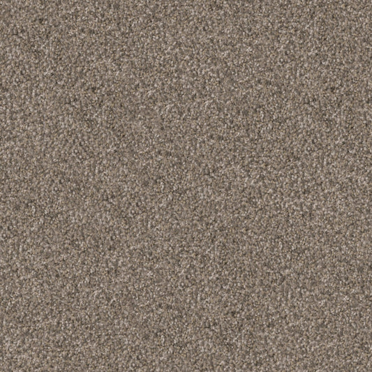 Shepherd in Greyhound Carpet