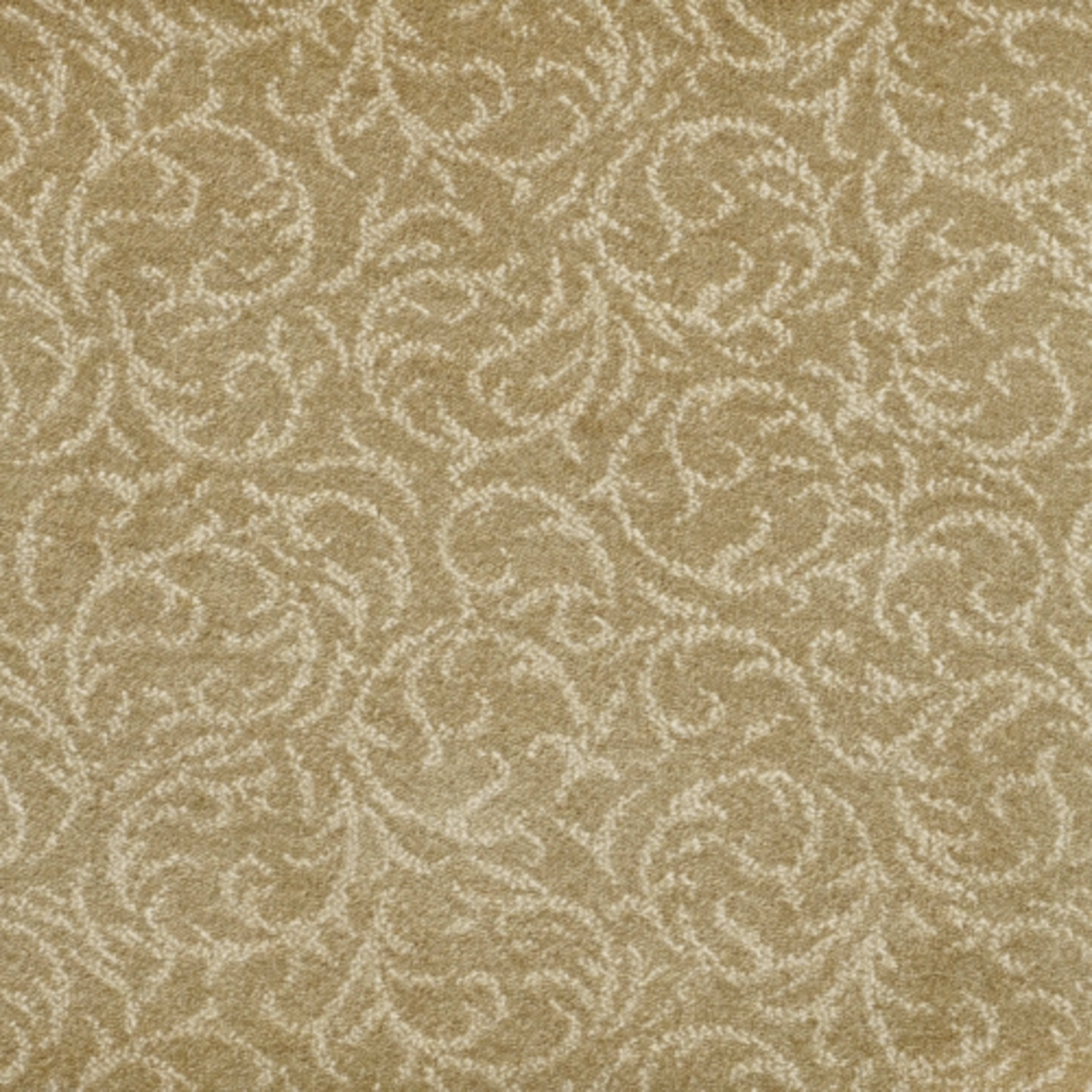 Shining Star in Beige Carpet