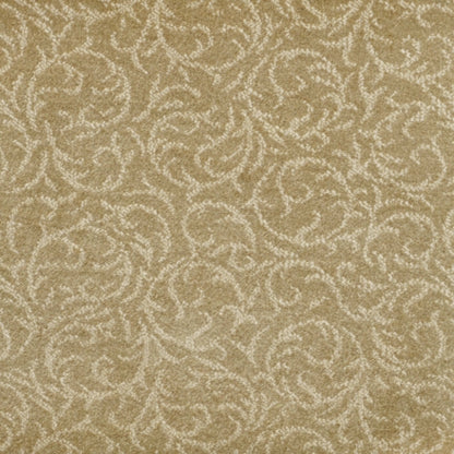 Shining Star in Beige Carpet