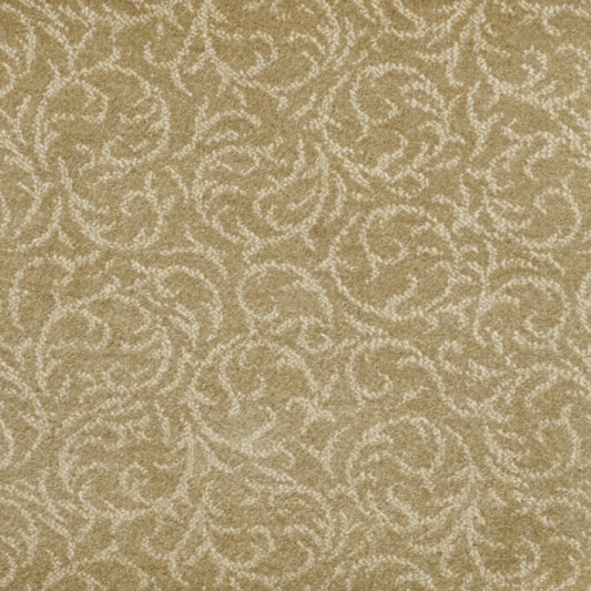 Shining Star in Beige Carpet