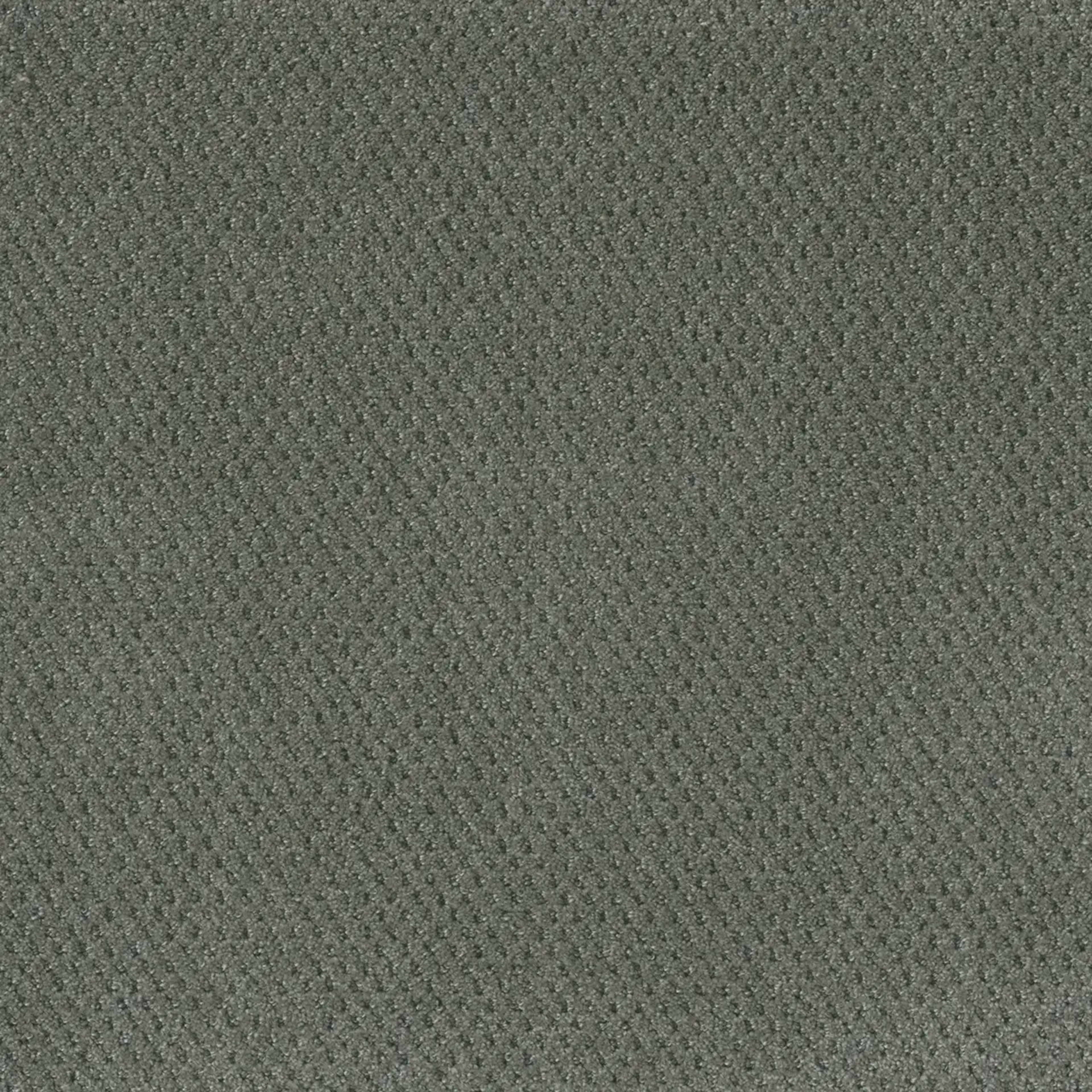 Prime in Skyway Carpet