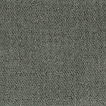 Prime in Skyway Carpet