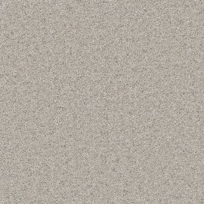 Windy City III in Smoky Quartz Carpet